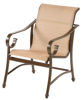 Picture of West Wind Dining Arm Chair