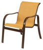 Picture of Sonata Dining Arm Chair