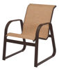 Picture of Cabo Sled Bottom Dining Chair