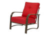 Picture of Harbourage Lounge Chair