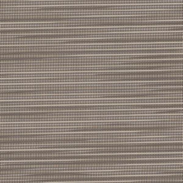 Picture of Brown Derby 203 Grade  A