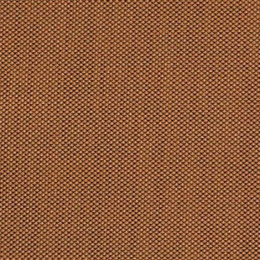 Picture of Augustine Nutmeg  919 Grade A