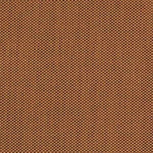 Picture of Augustine Nutmeg  919 Grade A