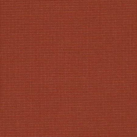 Picture of Sparkle Terra  495 Grade  A 