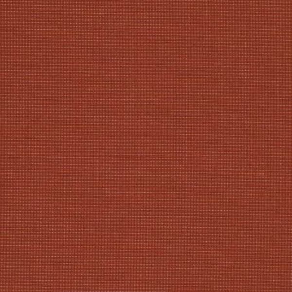 Picture of Sparkle Terra  495 Grade  A 
