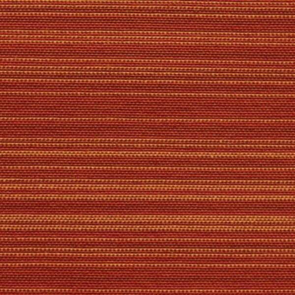 Picture of Sunray Saffron  254 Grade B