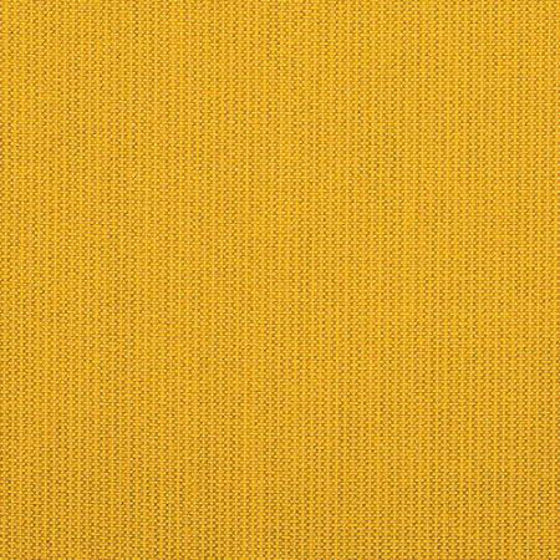 Picture of Spectrum Daffodil  398 Grade  A