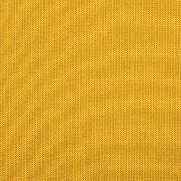 Picture of Spectrum Daffodil  398 Grade  A