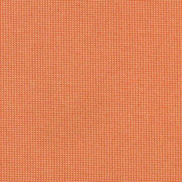 Picture of Sparkle Citrus 573 Grade  A