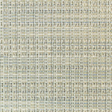 Picture of Blue Blush 463 Grade A 