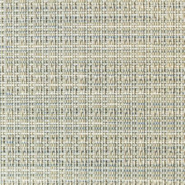 Picture of Blue Blush 463 Grade A 