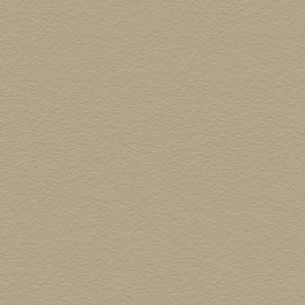 Picture of Textured Camel