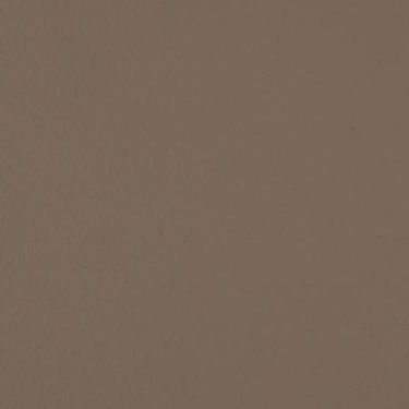 Picture of Latte
