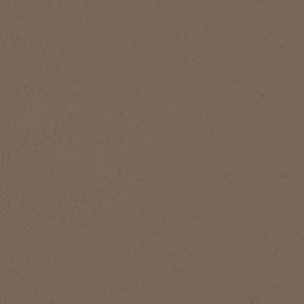 Picture of Latte