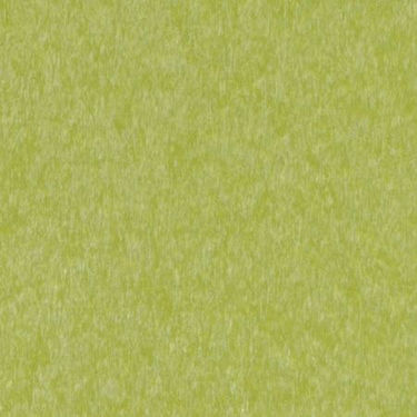 Picture of Lime