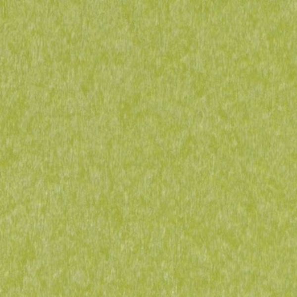 Picture of Lime
