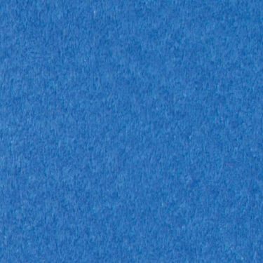 Picture of Pacific Blue