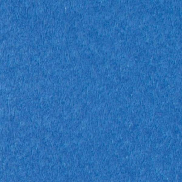 Picture of Pacific Blue