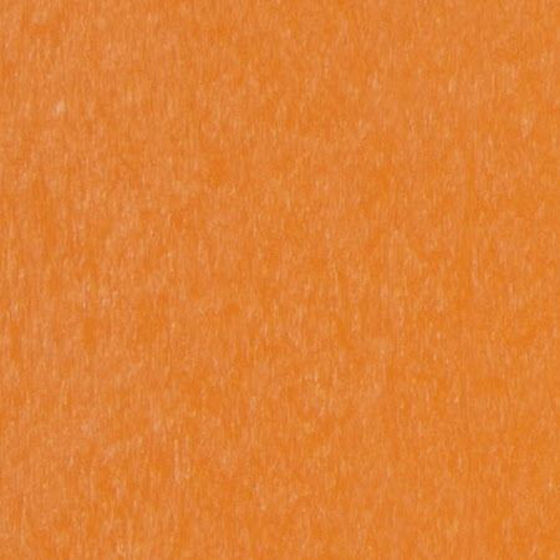 Picture of Tangerine