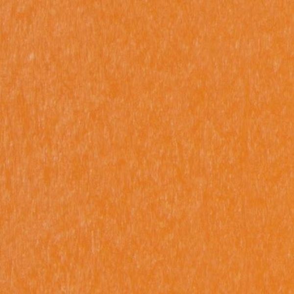 Picture of Tangerine