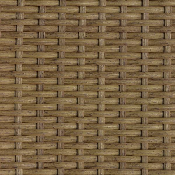 Picture of Wheat DW132