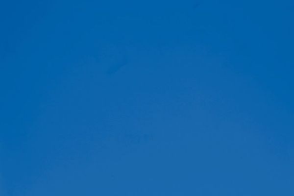 Picture of Blue