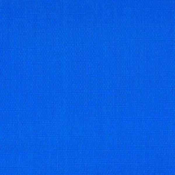Picture of Royal Blue T91NCS004
