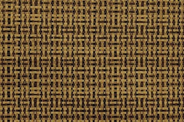 Picture of Canopy Nutmeg
