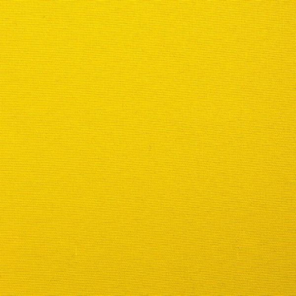 Picture of Canvas Canary