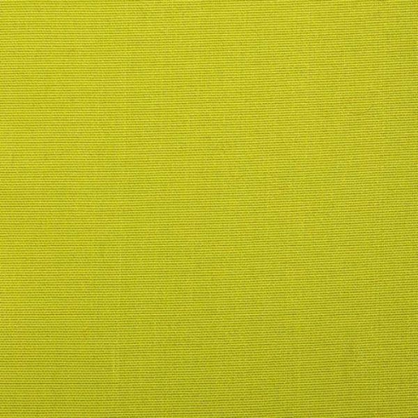 Picture of Canvas Keylime