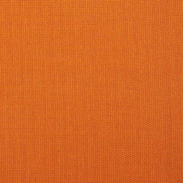 Picture of Canvas Papaya