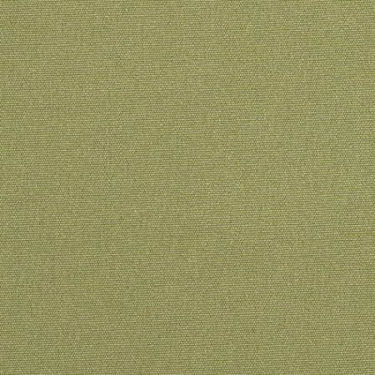 Picture of Citron Canvas  499 Grade  A