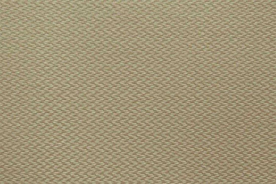 Picture of Summerland Sesame