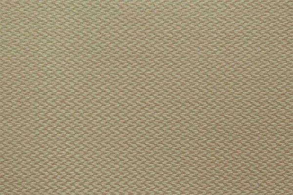 Picture of Summerland Sesame