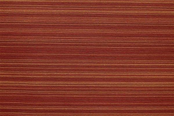 Picture of Sunray Saffron