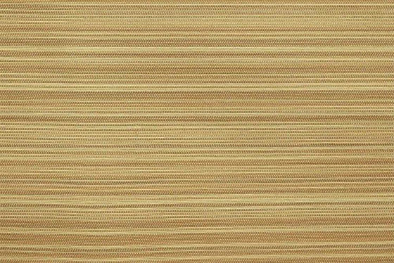 Picture of Sunray Sesame