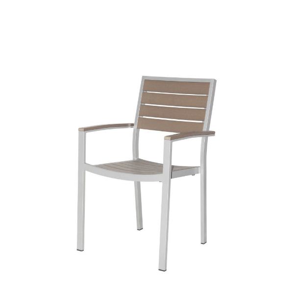 Picture of Napa Dining Arm Chair (Silver & Gray) SC-2405-163