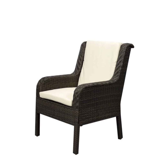 Picture of Tahiti Dining Arm Chair SO-2011-163