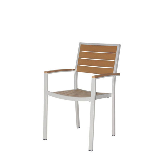 Picture of Napa Dining Arm Chair (Silver & Teak) SC-2405-163