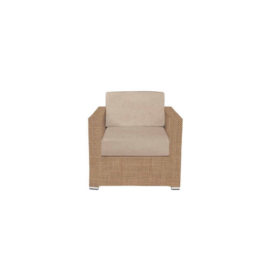 Picture of Lucaya Upholstered Club Chair SO-3403-101