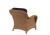 Picture of Carolina Deep Seating Honey Lounge Chair